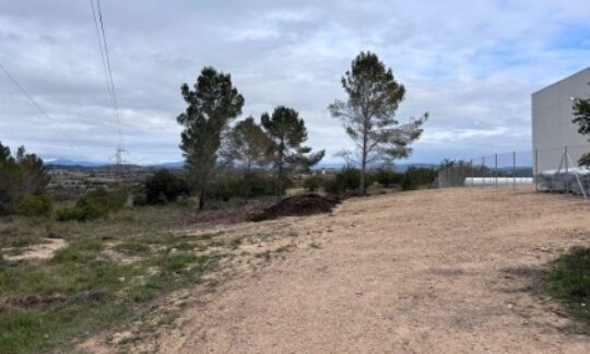 Neteja de franges forestals al perímetre de nuclis urbans