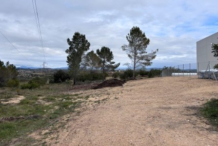 Després de la neteja de franges forestals al perímetre dels nuclis urbans